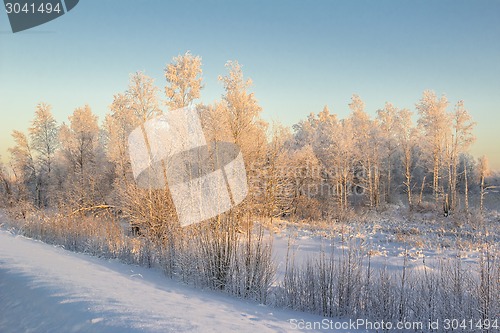 Image of winter Landscape.