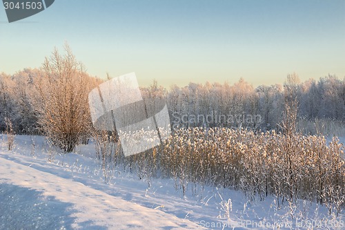 Image of winter Landscape.