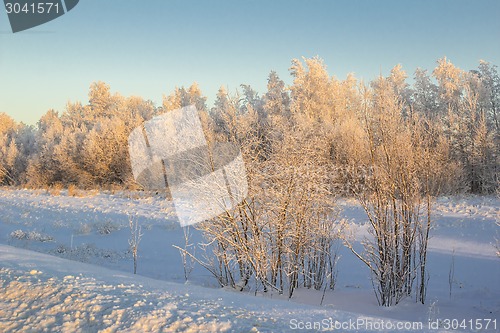 Image of winter Landscape.