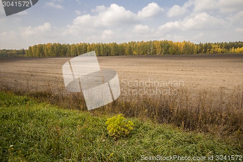 Image of autumn sketches.