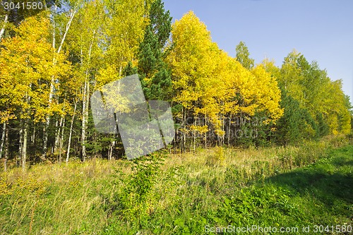 Image of autumn sketches.