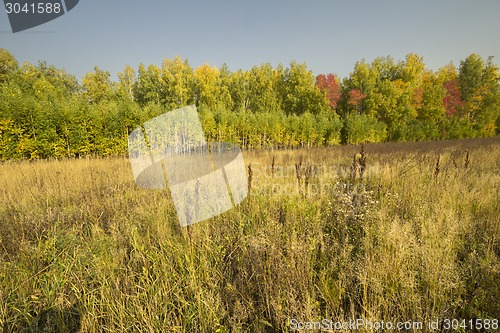 Image of autumn sketches.