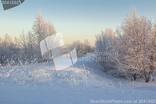 Image of winter Landscape.