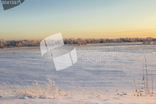 Image of winter Landscape.