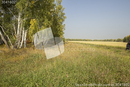 Image of autumn sketches.