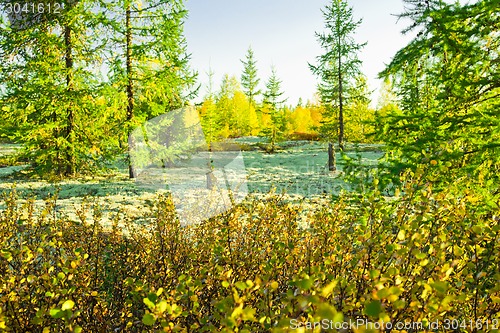 Image of   Landscapes of the Far North