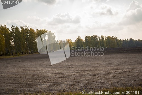 Image of autumn sketches.