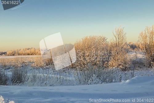 Image of winter Landscape.