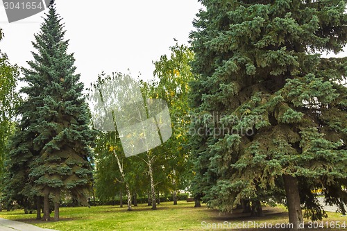 Image of city  Chelyabinsk.