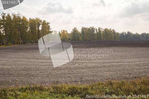 Image of autumn sketches.