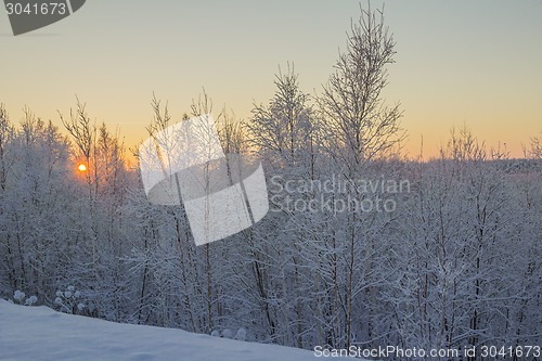 Image of winter Landscape.