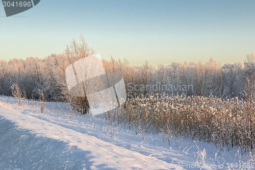 Image of winter Landscape.