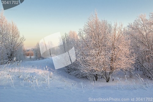 Image of winter Landscape.