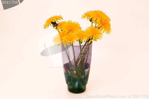 Image of         Yellow flowers