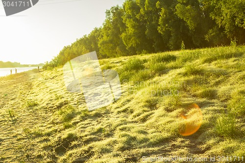 Image of   summer landscape