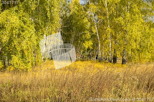 Image of autumn sketches.