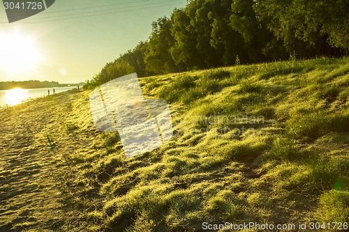 Image of   summer landscape