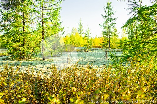 Image of   Landscapes of the Far North