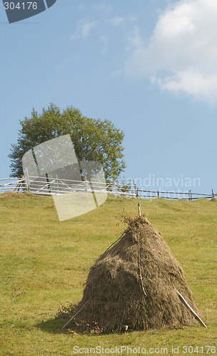 Image of Rural landscape