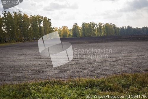 Image of autumn sketches.