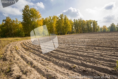 Image of autumn sketches.