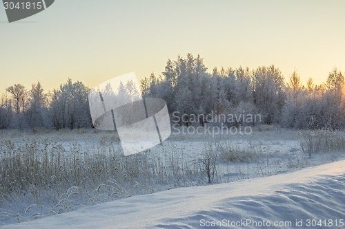 Image of winter Landscape.