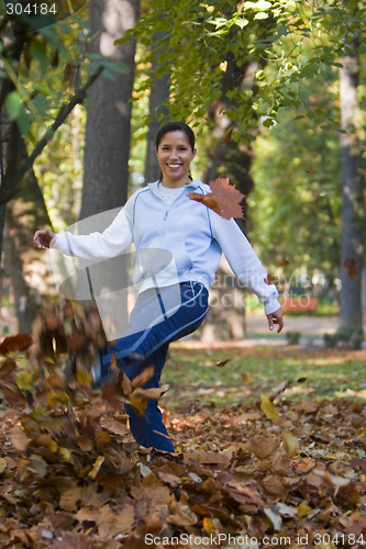 Image of Autumn fall