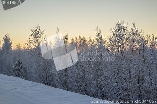 Image of winter Landscape.