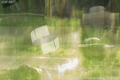 Image of Tailand.Pattayya.Zoopark