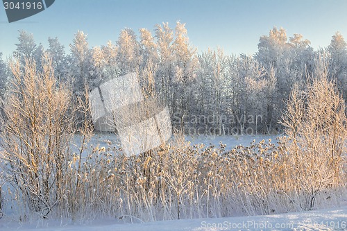 Image of winter Landscape.