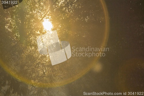 Image of   summer landscape