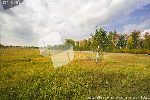 Image of autumn sketches.