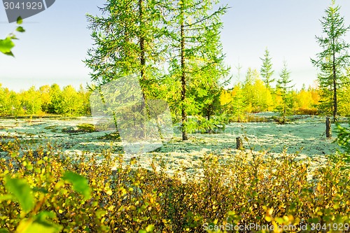 Image of   Landscapes of the Far North