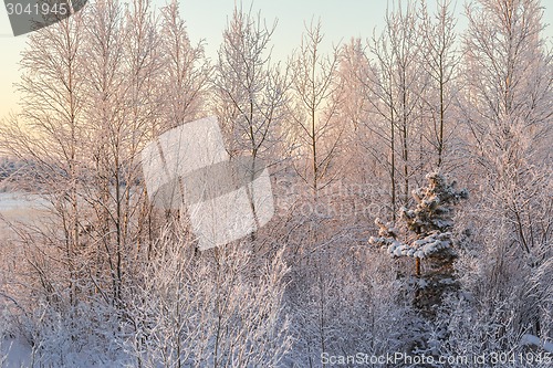 Image of winter Landscape.