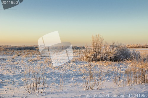 Image of winter Landscape.