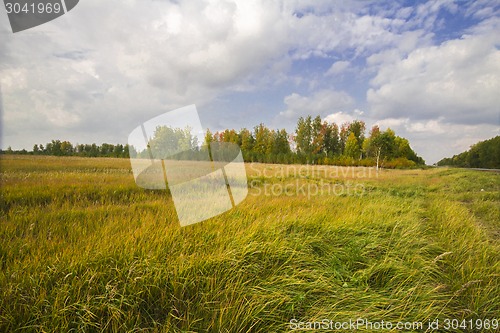 Image of autumn sketches.