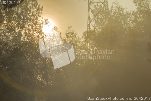 Image of   summer landscape