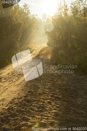 Image of  summer landscape