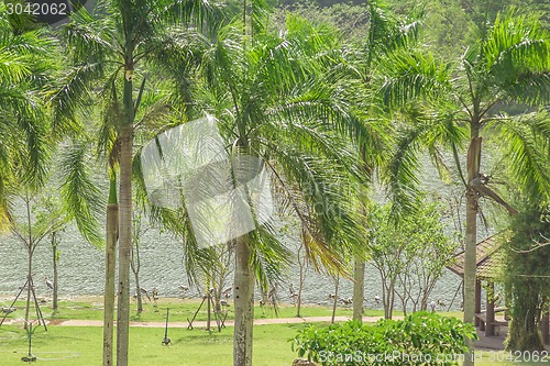Image of Tailand.Pattayya.Zoopark