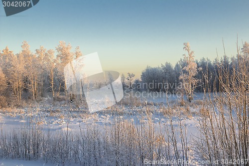 Image of winter Landscape.