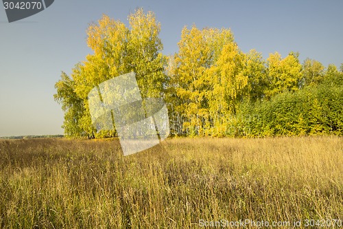 Image of autumn sketches.