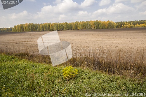Image of autumn sketches.