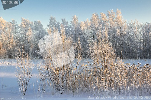 Image of winter Landscape.