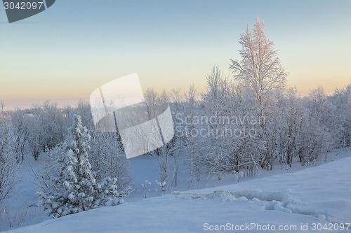 Image of winter Landscape.