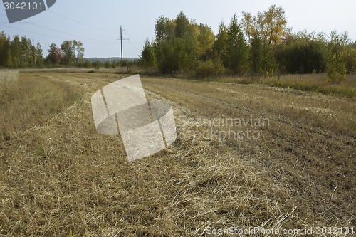 Image of autumn sketches.