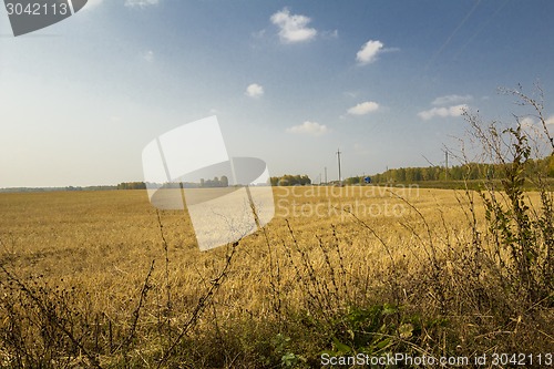 Image of autumn sketches.