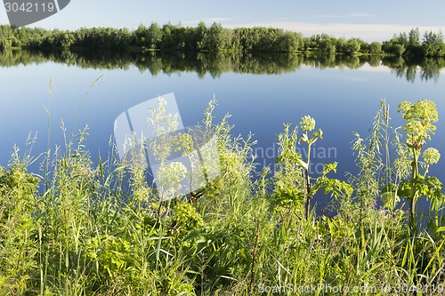 Image of Landscape.
