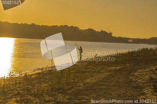 Image of  summer landscape