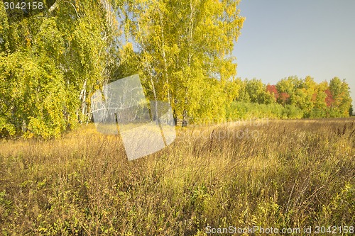 Image of autumn sketches.