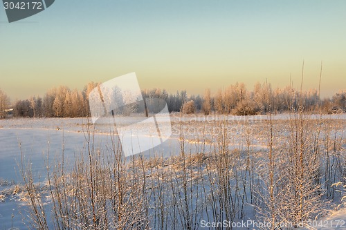 Image of winter Landscape.